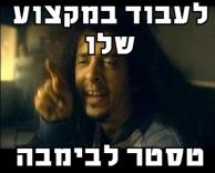 במקצוע שלו