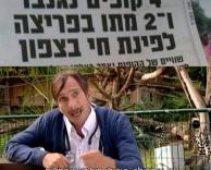 קופים