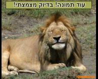 אוף מצמצתי!