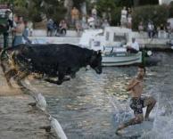 הליכה על המים