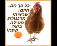 חם היום