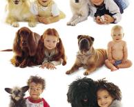 כלבים דומים לילדים
