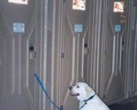 שירותים מאובטחים