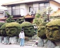 הראש של בוש