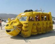 אוטובוס של אוהבי חתולים