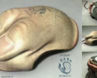 עכברים בסוגים שונים...