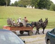 מרכבה יוקרתית