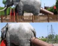 פיל על מגלשה