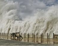 במזח מול הצונאמי