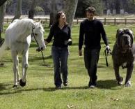 כלב "קצת קטן"