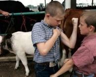 יש לי שרירר