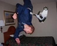 החתול הסמוראי