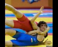 מהלכי האבקות	