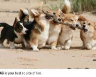 עבודת צוות מצויינת