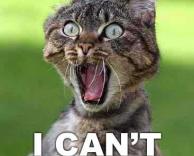 מה אמרת?לא שומע..