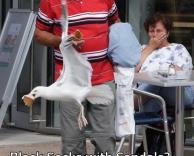 הכל בגלל הגרביים 