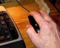 מנסה לתפוס את העכבר	