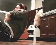 חתול מפיל מסך