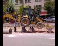 חכם תחת השמש?