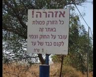 כבד