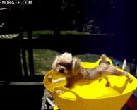 לא רוצה להתרחץ 