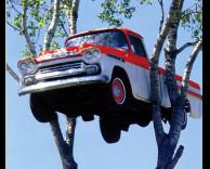 מכונית על עצים 