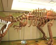 דינוזאור מבלונים. מכירים ליצן שעושה כזה?