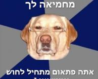 איינשטיין..