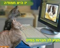 תוסיף תוסיף!