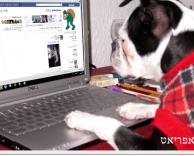 ברור שהחיות גם גולשות..