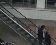 היא תצליח לעלות?