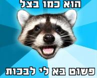 פשוט לבכות