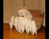 קדימה צריך ללכת לישון