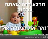 מורים