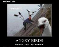 אנגרי בירדס כבר לא כזה כיף