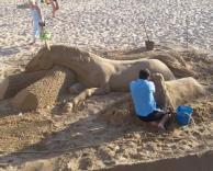 זה סוס, או שזה חול?