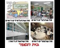 בית הספר שלנו!