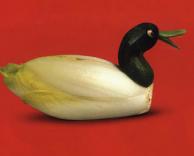 ברווז מחסה!