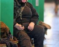 משתלבים טוב לא?