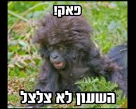 לאחר לבית ספר