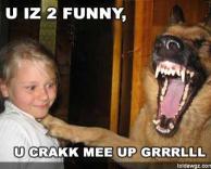 חברים לעניין