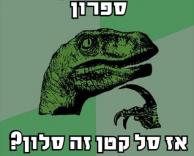 סלון?