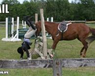התבלבלו בתפקידים