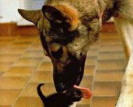 ארוחת צהריים, יאמי!