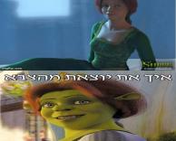 צבא