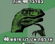 40 שנה