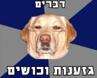 גזען או אנטי-גזענות?