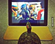 אחלה תוכנית