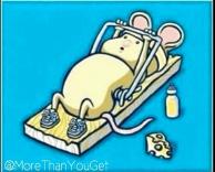 ראיתם פעם עכבר ככה?