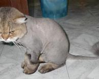 אל תתעסק איתי